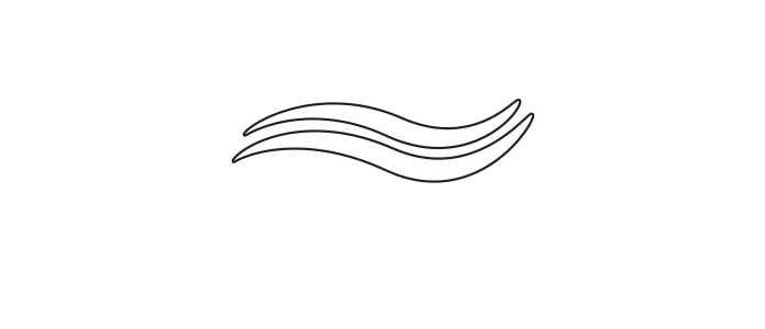 Gobierno de Rocha